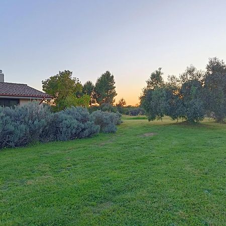 Agriturismo Fontelupo 브라치아노 외부 사진