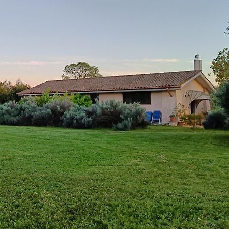 Agriturismo Fontelupo 브라치아노 외부 사진
