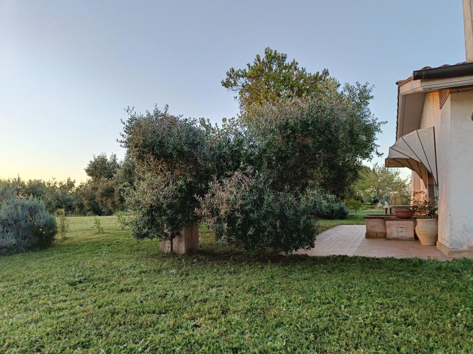 Agriturismo Fontelupo 브라치아노 외부 사진