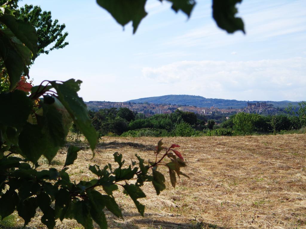 Agriturismo Fontelupo 브라치아노 외부 사진